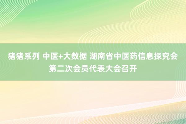 猪猪系列 中医+大数据 湖南省中医药信息探究会第二次会员代表大会召开