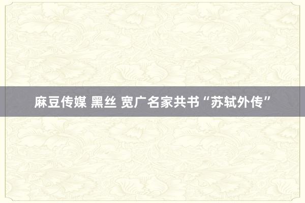 麻豆传媒 黑丝 宽广名家共书“苏轼外传”