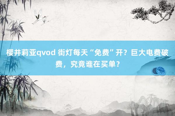 樱井莉亚qvod 街灯每天“免费”开？巨大电费破费，究竟谁在买单？